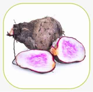 Soothing Herbs Like Olive Leaf Extract, Licorice Root, - Yam #4445010