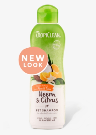 Dog Supplies Tropiclean Shampooneemcitrus - Tropiclean Medicated Oatmeal & Tea Tree Shampoo #4445207