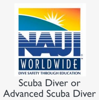 Multi-day Expedition, Visiting Sloth Island For Incredible #4446243