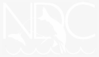 Since - National Diving Center #4446842