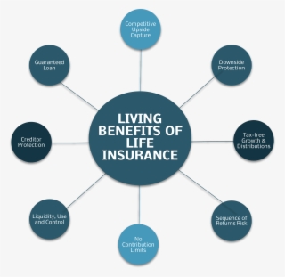 Tlds Diagram - Benefits Of Life Insurance #4449800