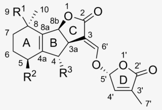 Strigolactones General Chemical Structure - Strigolactone Chemical Structure #4449847