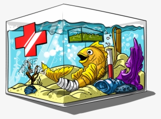 Out Fish Or Any Aquatic Animal Ownership - Fish Quarantine Cartoon #4452122