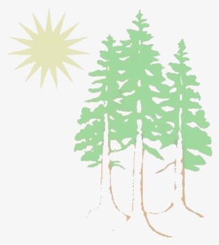 Serving The Northcoast Since 1967 - Western Yellow Pine #4452279