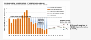 Amazon Df Scenarios Careport 082414b-1440x631 - Deforestation Statistics In California #4452683