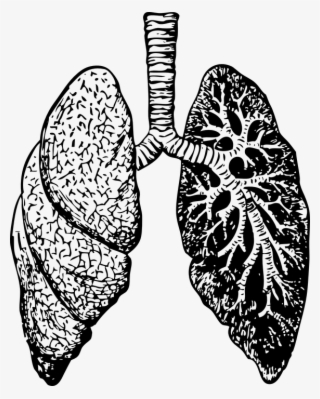 Medicine Clipart Tumblr Transparent - Dealing With Bronchitis: Overcoming Bronchitis And #4453143