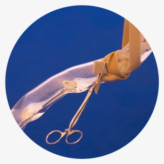 'physical Self' By Laura Gozlan At Galerie Escougnou-cetraro, - Self #4455925