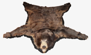 Bear Skin Rug Png - Bear Skin Png #4456619