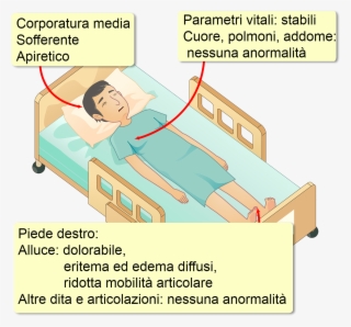 La Sua Storia Clinica Non È Rilevante E Non Assume - Cartoon #4456686