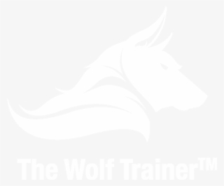 Contact Us - Yellow Wolf #4458100 Contact Us - Yellow Wolf #4458100