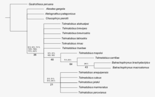 Los Números Arriba De Las Ramas Son Los Caracteres - Document #4461143