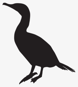 Neotropic Cormorant - Cormorant Silhouette #4461384