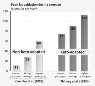 The Rate Of Fat Use During Exercise At 64% Vo 2 Max - Rethinking Fat As A Fuel For Endurance Exercise #4462051