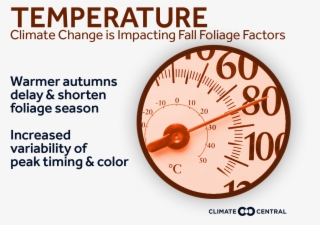 Jpg • Png - Closet #4462053 Jpg • Png - Closet #4462053