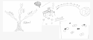 Metáforas Del Profesor Del Grupo De Brasil, Relacionadas - Diagram #4462156