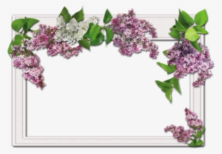 Flower Frames #4464278