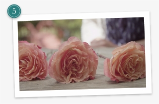 Step - Funeral Flower Preservation #4465204