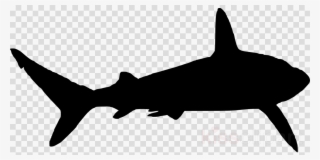 Download Shark Silhouette Png Clipart Shark Clip Art - Black Cowboy Hat Png #4465890