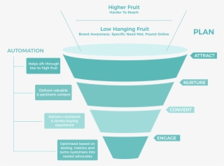 Wise Framework Marketing #4466073