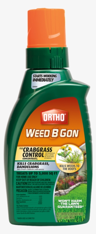 Help Center - Scott Weed B Gon #4468067