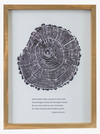 Good Timber - Wall #4470771