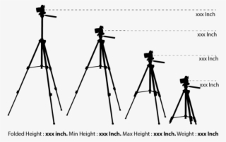 Silhouette Camera Tripod - Video Camera #4470980