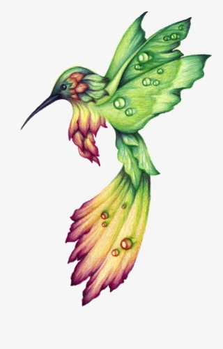 Habitat Drawing Hummingbird Clipart Free - Hummingbird Drawing #4471062