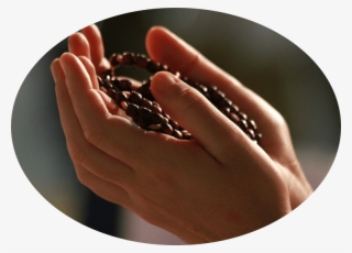 4th Annual Meeting Of The Children Of Mary - Peace #4471628