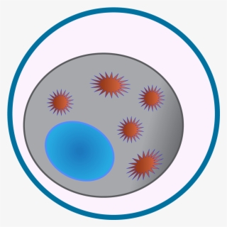 Virus Icons-05 - Circle #4473500