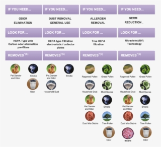 What An Air Purifier Removes - Hepa Type #4475711