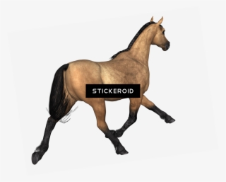 Horses Конь - Horse #4476675