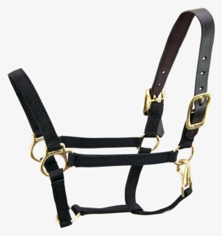 Breakaway 3/4" Halter With Straight Chin - Halter #4477361
