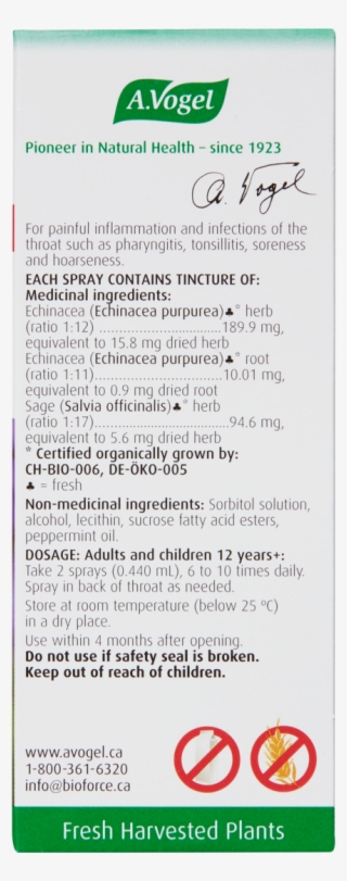 . Vogel Milk Thistle 50ml #4478469