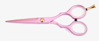 Scissors #4481798