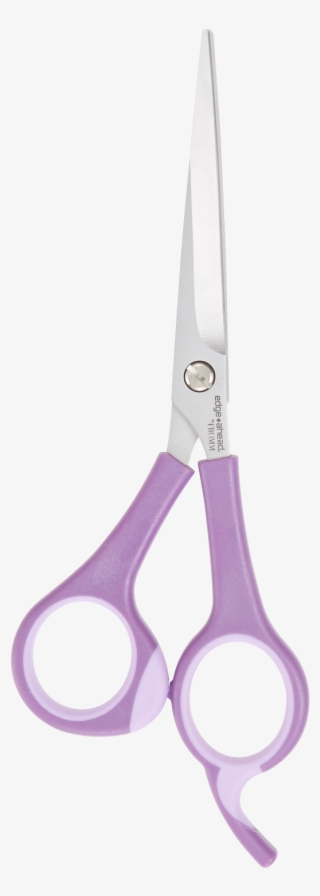 Fromm Family Foods #4481870