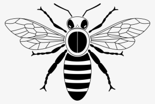 Download Graphic Free Stock Abc Clipart Free Club Image - Honey Bee Drawing Simple #4482760
