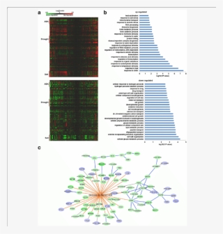 Gene Expression Changed By Gex1a Corresponding To Stress - Creative Arts #4483290