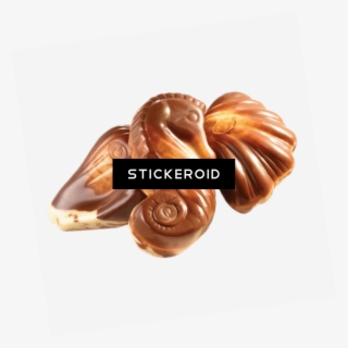 Seashell Animals - Belgian Seashell Chocolates India #4484131