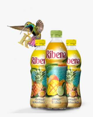 Tropical - Ribena Mango & Lime 12 X 500ml #4487907
