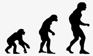 Recyclerview From Zero To Hero - Phylogenetics: A Comprehensive Overview #4488878