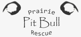 Dreaming Of Open Water - Cd #4489800