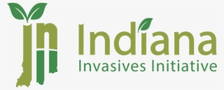 Iii Logo 4c@3x - Graphic Design #4492381