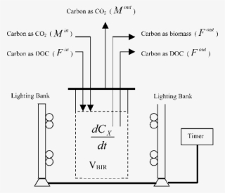 Experimental Setup For Continuous Cultivation Of Marine - Diagram #4495356
