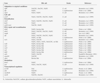 Genes Upregulated In Bile Treated Gram Negative Bacteria - Bile #4495594