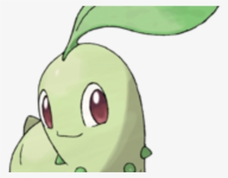 Qr Code Pokemon Chikorita #4496611