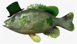 New Leprechaun Fish Added - St Patrick's Fish #4496790