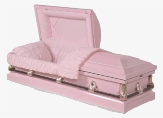 Transparent Coffin Gothic - Pink Casket #4496856