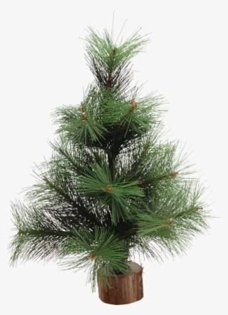 Christmas Tree Png, Download Png Image With Transparent - Christmas Tree #4496916