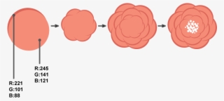 Creating The Flower #4497245