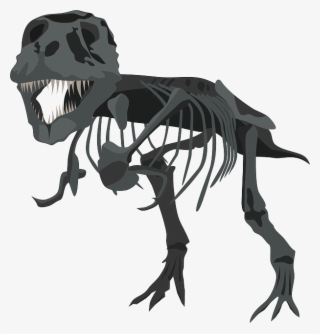 Free Photo Carnivore Skeleton Dinosaur Tyrannosaurus - T Rex Skeleton Png #4498990